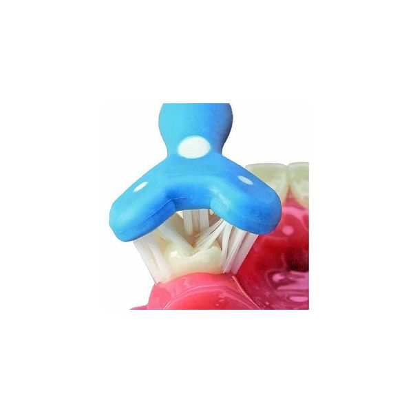 Surround Toothbrush