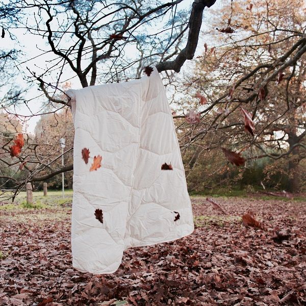 Staydry Wool Quilt With Everyday Easy Cover Single Bed