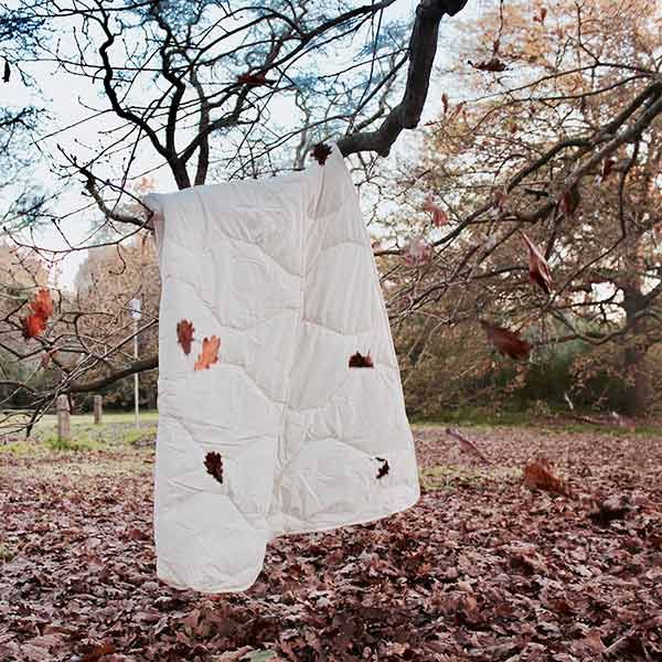 Staydry Wool Quilt With Everyday Easy Cover Double Bed