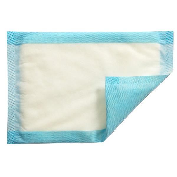 Mesorb Absorbent Dressing 23x25cm